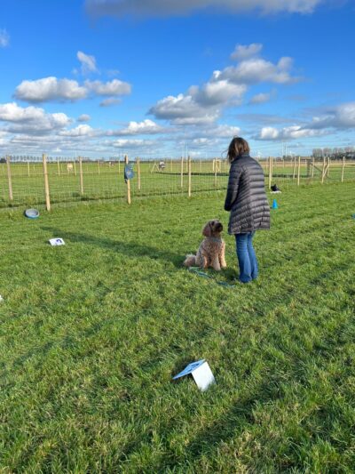 Rally-O bij wereldhond